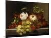 Still Life with Peach, Grapes and Rosehips, 1865-Adelheid Dietrich-Mounted Giclee Print