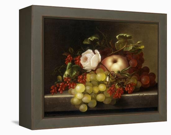 Still Life with Peach, Grapes and Rosehips, 1865-Adelheid Dietrich-Framed Premier Image Canvas