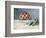 Still Life with Peaches and Grapes-Auguste Renoir-Framed Art Print