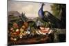 Still Life with Peacock-Luis Portu-Mounted Giclee Print