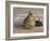 Still Life with Pear and Grapes-Egisto Paolo Fabbri-Framed Art Print