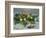 Still Life with Pears and Grapes, 1880-Claude Monet-Framed Giclee Print