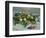 Still Life with Pears and Grapes, 1880-Claude Monet-Framed Giclee Print