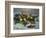 Still Life with Pears and Grapes, 1880-Claude Monet-Framed Giclee Print