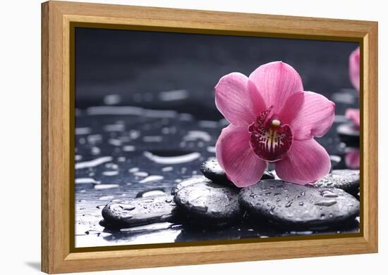 Still Life with Pebble and Macro of Orchid with Water Drops-crystalfoto-Framed Premier Image Canvas