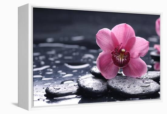 Still Life with Pebble and Macro of Orchid with Water Drops-crystalfoto-Framed Premier Image Canvas