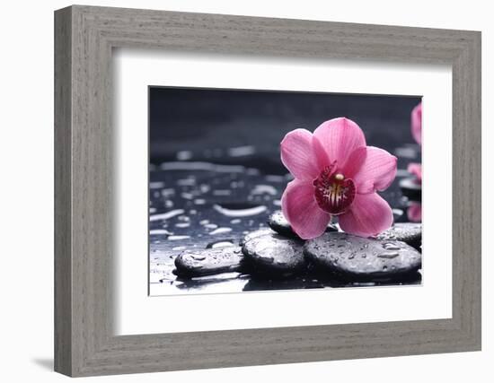 Still Life with Pebble and Macro of Orchid with Water Drops-crystalfoto-Framed Photographic Print