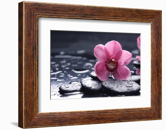 Still Life with Pebble and Macro of Orchid with Water Drops-crystalfoto-Framed Photographic Print