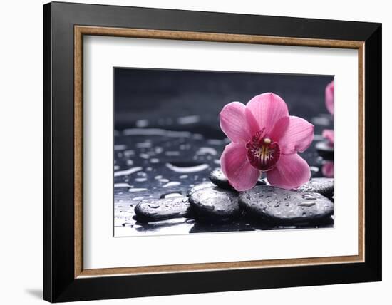 Still Life with Pebble and Macro of Orchid with Water Drops-crystalfoto-Framed Photographic Print