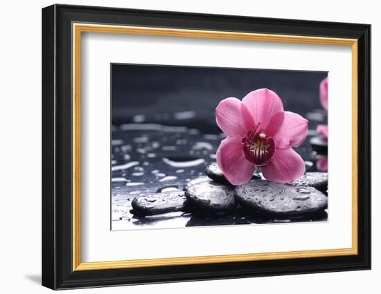 Still Life with Pebble and Macro of Orchid with Water Drops-crystalfoto-Framed Photographic Print