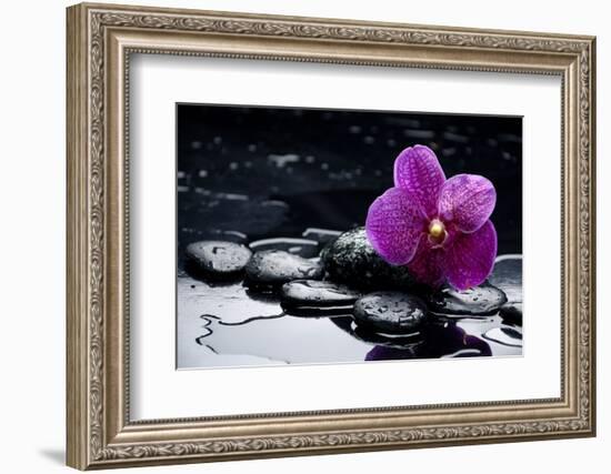 Still Life with Pebble and Orchid with Water Drops-crystalfoto-Framed Photographic Print