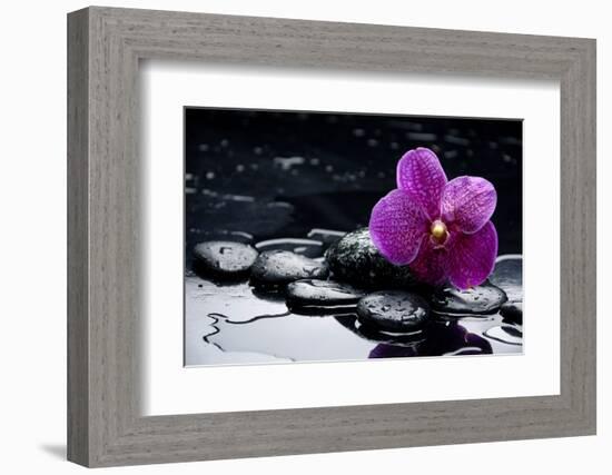 Still Life with Pebble and Orchid with Water Drops-crystalfoto-Framed Photographic Print