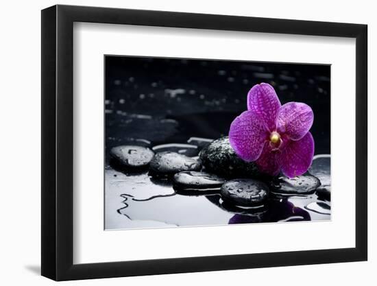 Still Life with Pebble and Orchid with Water Drops-crystalfoto-Framed Photographic Print