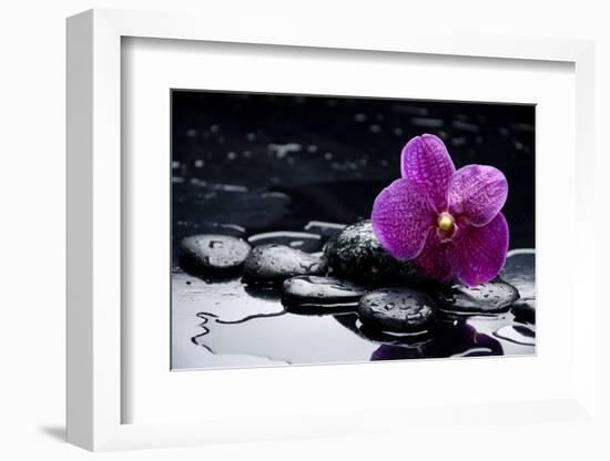 Still Life with Pebble and Orchid with Water Drops-crystalfoto-Framed Photographic Print