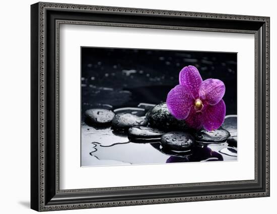 Still Life with Pebble and Orchid with Water Drops-crystalfoto-Framed Photographic Print