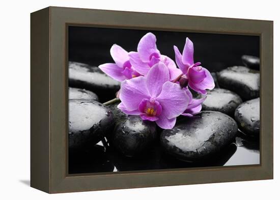Still Life with Pebble and Orchid-crystalfoto-Framed Premier Image Canvas
