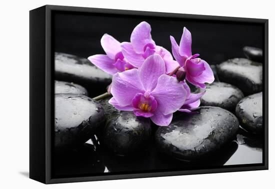 Still Life with Pebble and Orchid-crystalfoto-Framed Premier Image Canvas