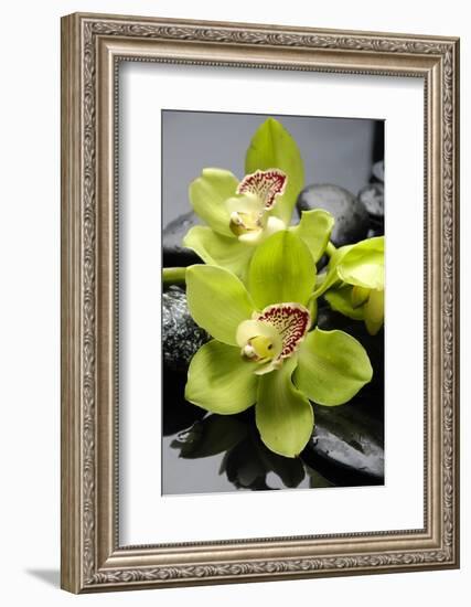 Still Life with Pebble and Orchid-crystalfoto-Framed Photographic Print