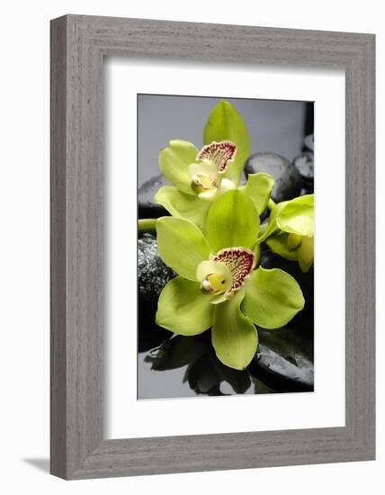 Still Life with Pebble and Orchid-crystalfoto-Framed Photographic Print