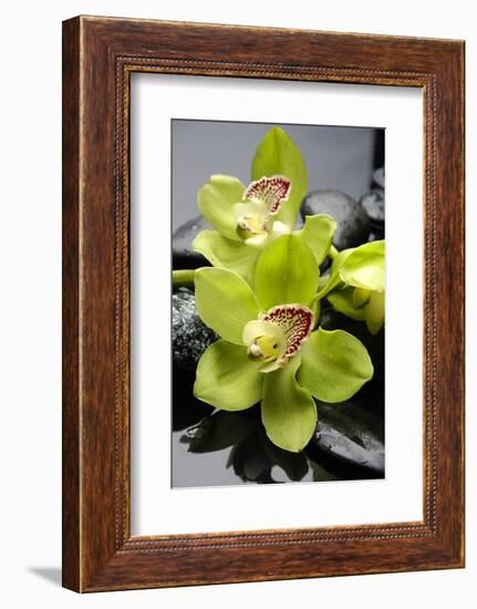 Still Life with Pebble and Orchid-crystalfoto-Framed Photographic Print