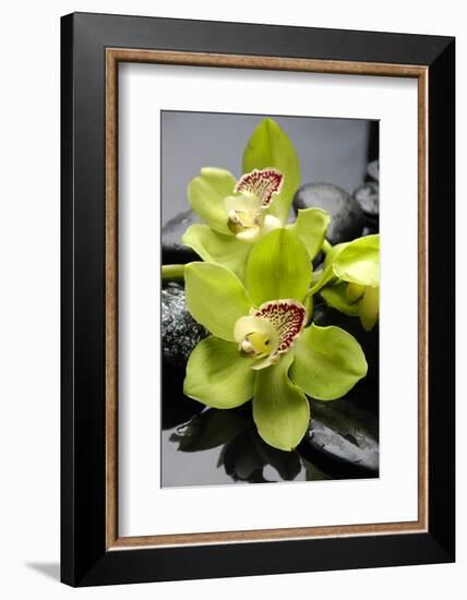 Still Life with Pebble and Orchid-crystalfoto-Framed Photographic Print