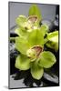 Still Life with Pebble and Orchid-crystalfoto-Mounted Photographic Print