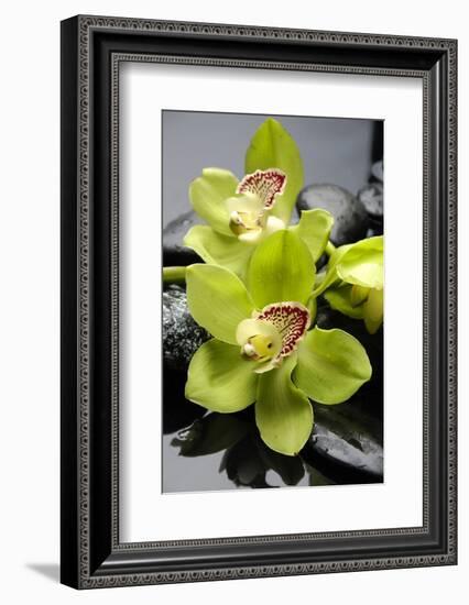 Still Life with Pebble and Orchid-crystalfoto-Framed Photographic Print