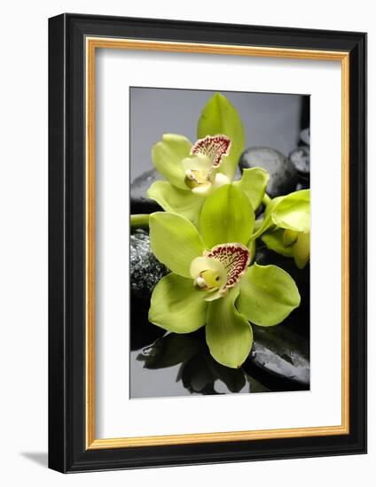 Still Life with Pebble and Orchid-crystalfoto-Framed Photographic Print