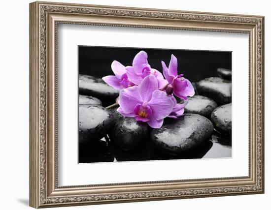 Still Life with Pebble and Orchid-crystalfoto-Framed Photographic Print