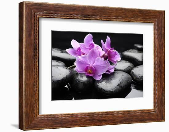 Still Life with Pebble and Orchid-crystalfoto-Framed Photographic Print