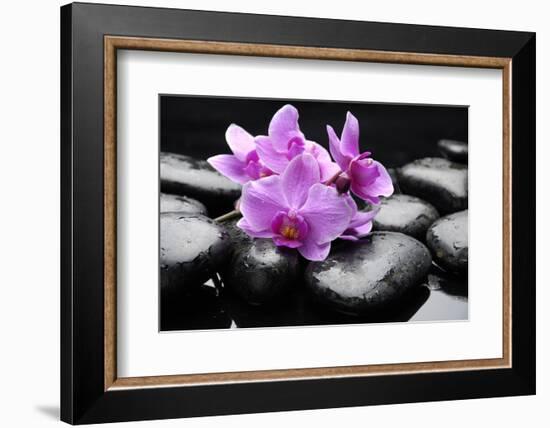 Still Life with Pebble and Orchid-crystalfoto-Framed Photographic Print