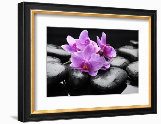 Still Life with Pebble and Orchid-crystalfoto-Framed Photographic Print