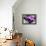 Still Life with Pebbles and Branch Orchid-crystalfoto-Framed Premier Image Canvas displayed on a wall