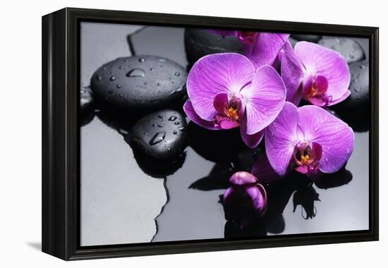 Still Life with Pebbles and Branch Orchid-crystalfoto-Framed Premier Image Canvas