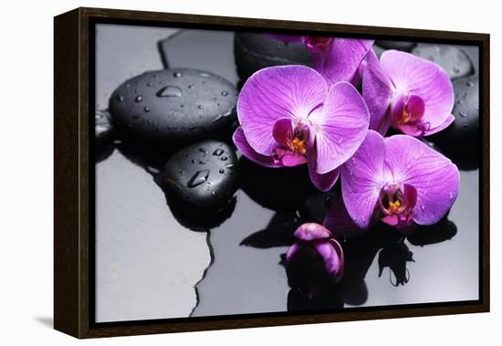 Still Life with Pebbles and Branch Orchid-crystalfoto-Framed Premier Image Canvas