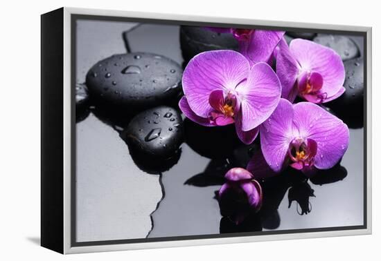 Still Life with Pebbles and Branch Orchid-crystalfoto-Framed Premier Image Canvas