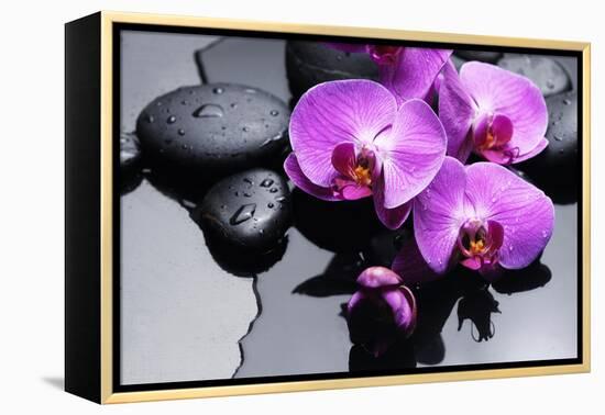 Still Life with Pebbles and Branch Orchid-crystalfoto-Framed Premier Image Canvas