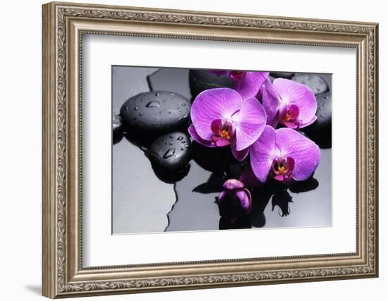 Still Life with Pebbles and Branch Orchid-crystalfoto-Framed Photographic Print