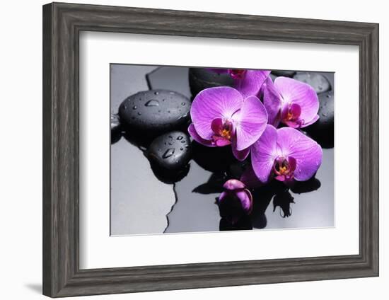 Still Life with Pebbles and Branch Orchid-crystalfoto-Framed Photographic Print