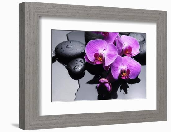 Still Life with Pebbles and Branch Orchid-crystalfoto-Framed Photographic Print