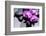 Still Life with Pebbles and Branch Orchid-crystalfoto-Framed Photographic Print