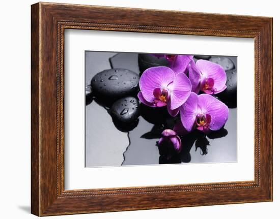 Still Life with Pebbles and Branch Orchid-crystalfoto-Framed Photographic Print