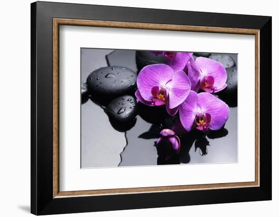 Still Life with Pebbles and Branch Orchid-crystalfoto-Framed Photographic Print