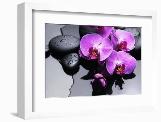 Still Life with Pebbles and Branch Orchid-crystalfoto-Framed Photographic Print