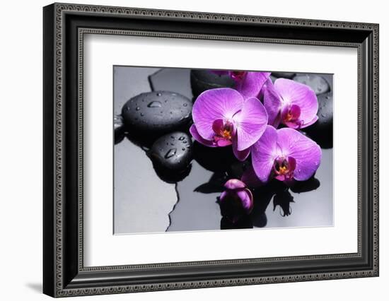 Still Life with Pebbles and Branch Orchid-crystalfoto-Framed Photographic Print