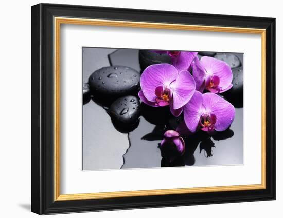 Still Life with Pebbles and Branch Orchid-crystalfoto-Framed Photographic Print