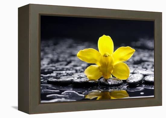 Still Life with Pebbles and Yellow Orchid-crystalfoto-Framed Premier Image Canvas