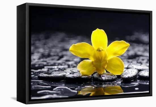 Still Life with Pebbles and Yellow Orchid-crystalfoto-Framed Premier Image Canvas