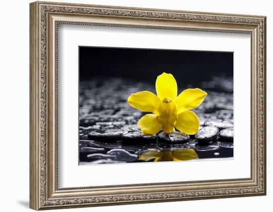 Still Life with Pebbles and Yellow Orchid-crystalfoto-Framed Photographic Print