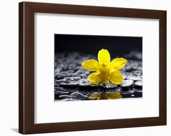 Still Life with Pebbles and Yellow Orchid-crystalfoto-Framed Photographic Print